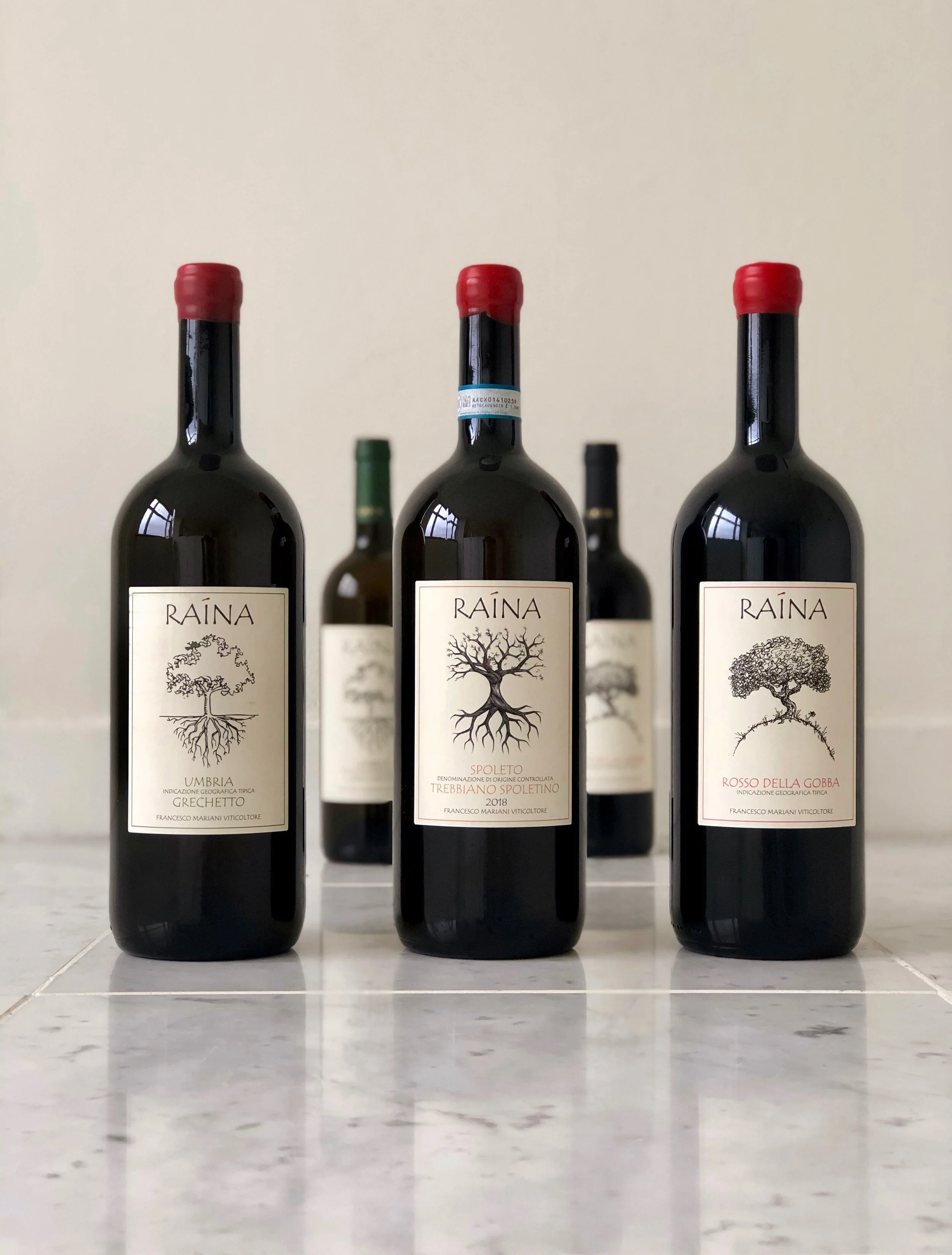 Bestel hier je flessen in groot formaat. — Vino Per Tutti.NL